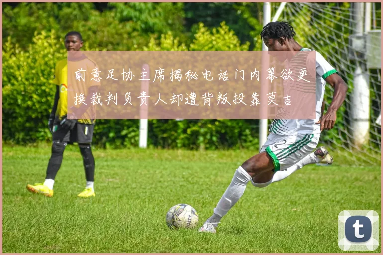 前意足协主席揭秘电话门内幕欲更换裁判负责人却遭背叛投靠莫吉